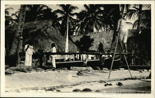 Tropical Sugar Mill Farming
