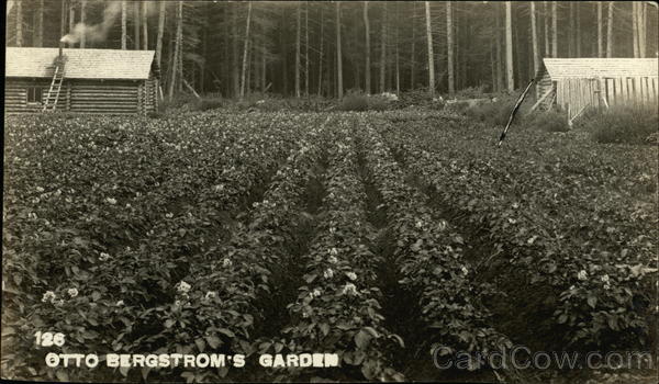 Otto Bergstrom's Garden Seward Alaska