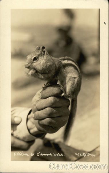 A Native at Diamond Lake