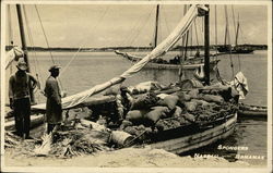 Stock #425642 Thumbnail