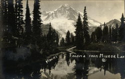 Mount Tacoma From Mirror Lake Washington Postcard Postcard