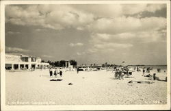 Lido Beach Sarasota, FL Postcard Postcard