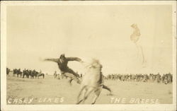 Casey Likes the Breeze Postcard