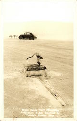 Water Pump in Desert Postcard