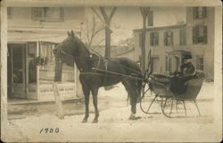 Horse Drawn Sleigh Postcard