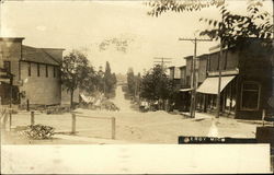 View of Town Leroy, MI Postcard Postcard