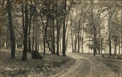 Road to Lake Cara, Rockefeller Postcard