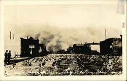 Jack Rabbits Running Down Main Street Postcard