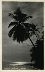 Tropical Solitude Postcard