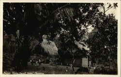 Native Home Sweet Home, Panama Postcard Postcard