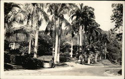 Entrance, Ancon Hospital Grounds Postcard