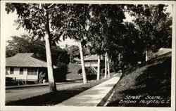 Street Scene, Balboa Heights, C.Z Postcard