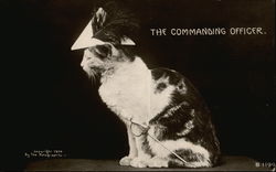 The Commanding Officer Cats Postcard Postcard