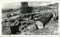 "The Hilltop Castle Petrified Forest National Park Postcard Postcard