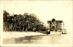 Elks Home Postcard