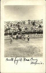 Bull Fight Postcard