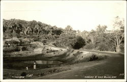 Camino A San Blas Postcard