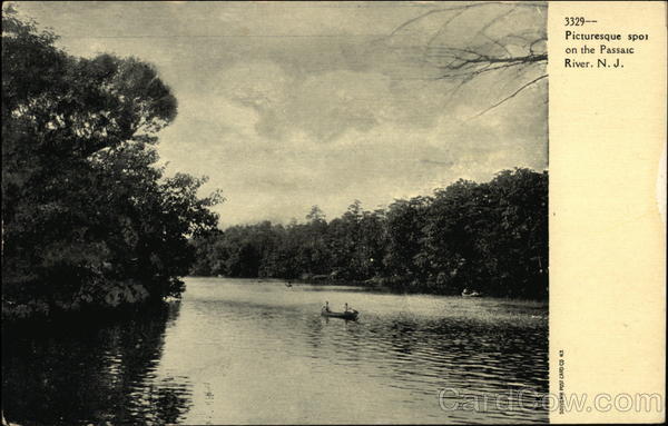Passaic River New Jersey