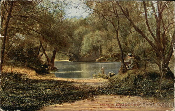 Jackson Park Chicago Illinois