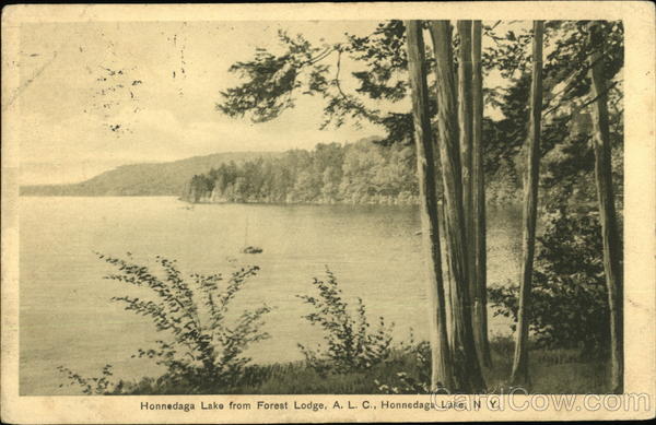 Honnedaga Lake from Forest Lodge, ALC New York