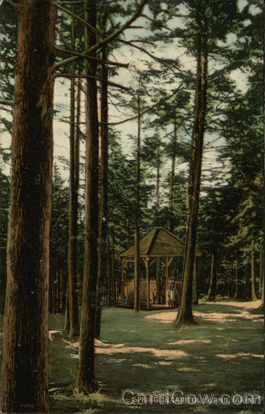 Spring on Capitol Island Maine