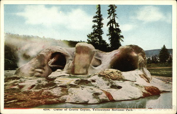 Crater of Grotto Geyser Yellowstone National Park