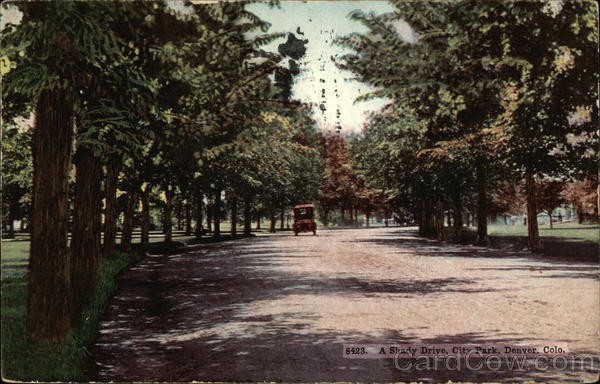 Shady Drive, City Park Denver Colorado