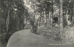 Tree Lined Simpson Avenue Mount Tabor, NJ Postcard Postcard