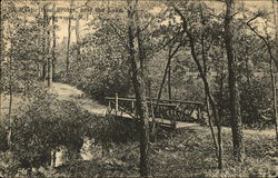 Rustic Foot Bridge Near the Lake Postcard