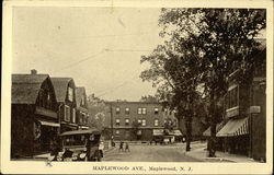 Maplewood Avenue Postcard