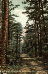 Stock #426777 Thumbnail