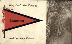 Why Don't you Come to Beaumont and See Your Friends Postcard