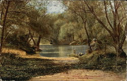 Jackson Park Postcard