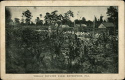 Throop Poultry Farm Postcard