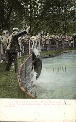 Stock #426884 Thumbnail