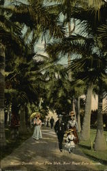 Royal Palm Walk, Hotel Royal Palm Grounds Miami, FL Postcard Postcard