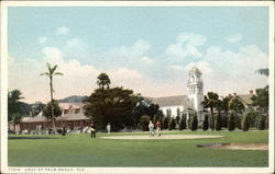 Golf at Palm Beach Florida Postcard Postcard