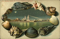 Coney Island From the Ocean By Night Postcard