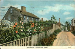 Ash Lane Postcard