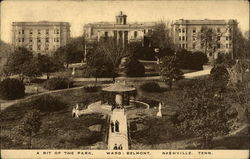 A bit of the park, Ward-Belmont Nashville, TN Postcard Postcard