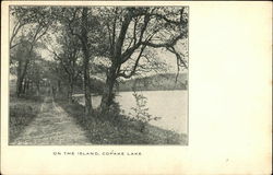 On the Island, Copake Lake New York Postcard Postcard