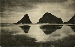 Seal Rocks Postcard