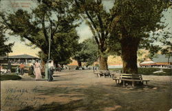 Salem Willows Salem Willows