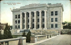 New Harvard Medical School Postcard
