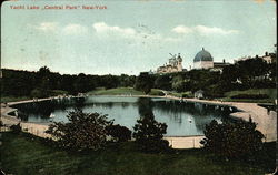 Stock #427343 Thumbnail