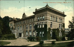 Cornell Veterinary College Ithaca, NY Postcard Postcard