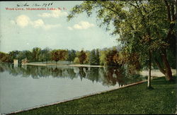 West Cove, Skaneateles Lake New York Postcard Postcard