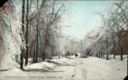 Winter Scene, February 1909 Postcard