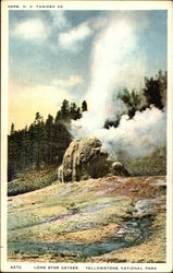 Lone Star Geyser Yellowstone National Park, WY Postcard Postcard