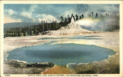 Castle Well and Castle Geyser Yellowstone National Park, WY Postcard Postcard